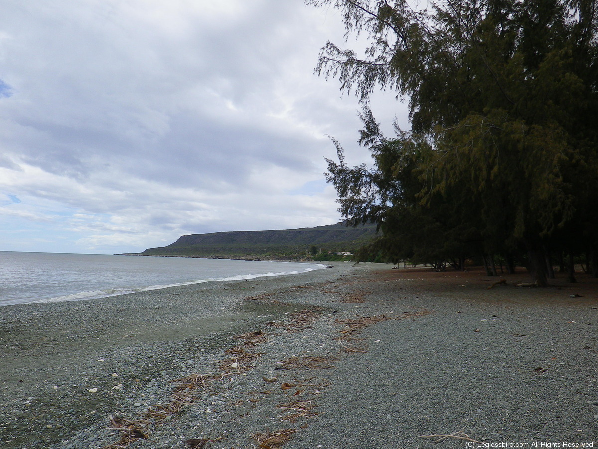 Beach - Altantic07.jpg